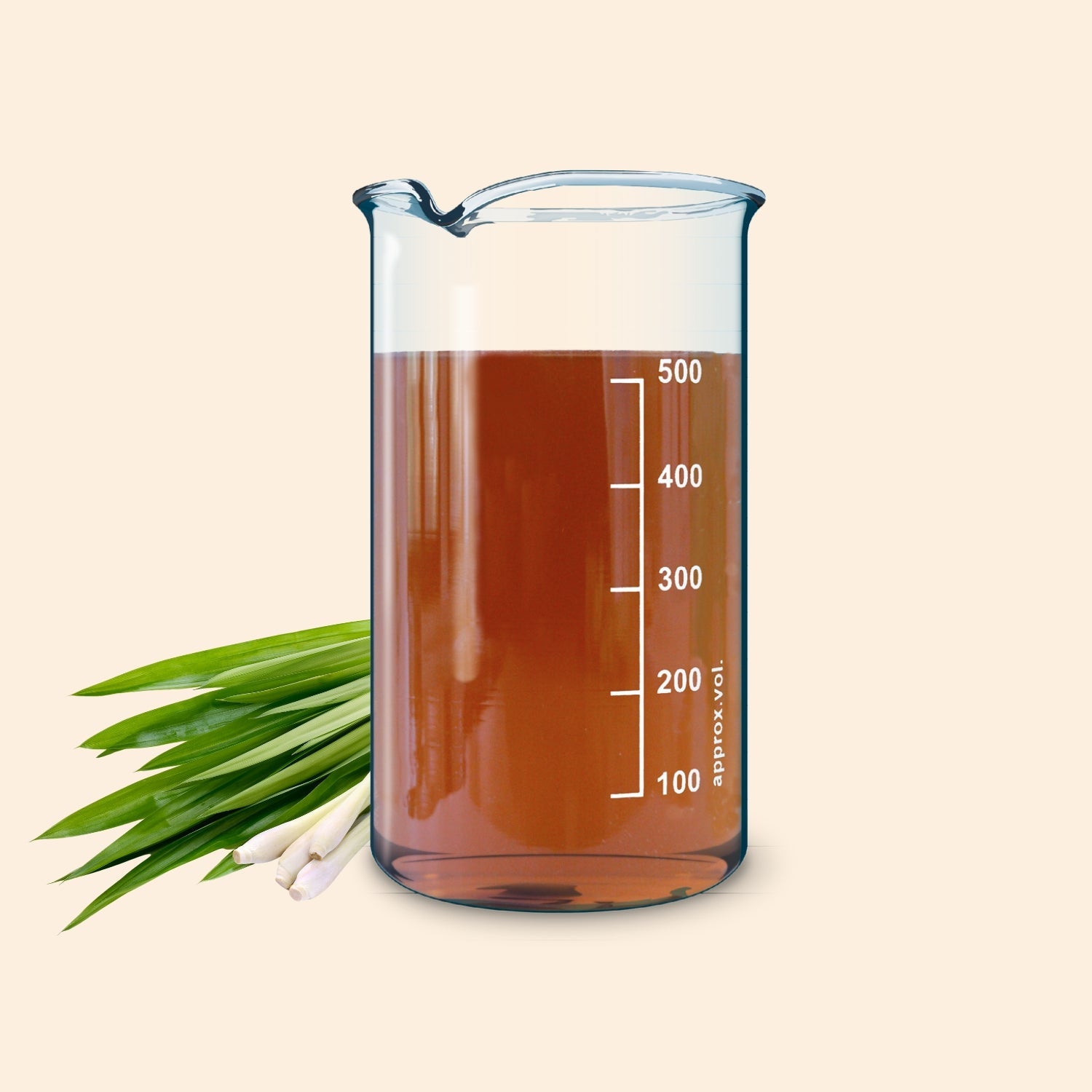 Wheat Grass Herbal Liquid Extract Wheat Grass Herbal Liquid Extract
